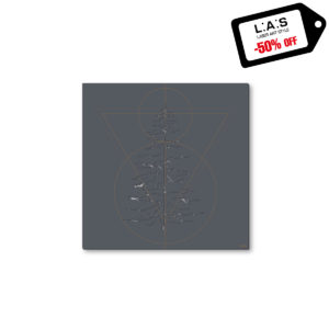 L:A:S - Laser Art Style - QUADRO MODERNO – SCULTURA DA PARETE – Q-010 ANTRACITE